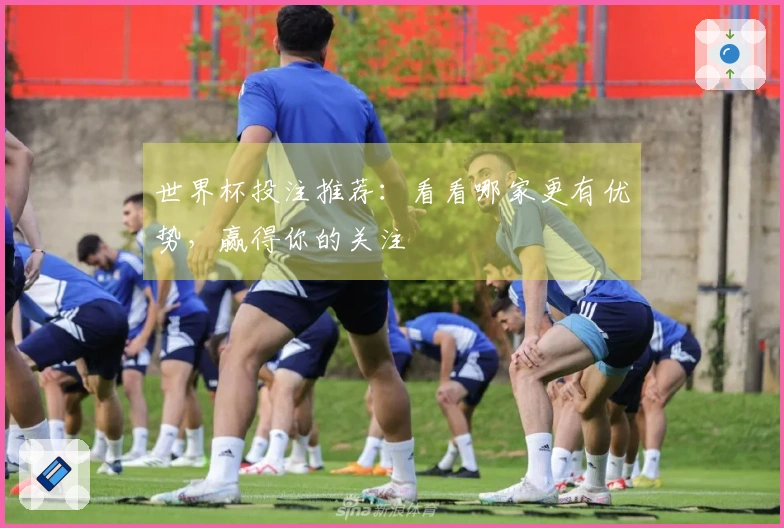 世界杯投注推荐：看看哪家更有优势，赢得你的关注