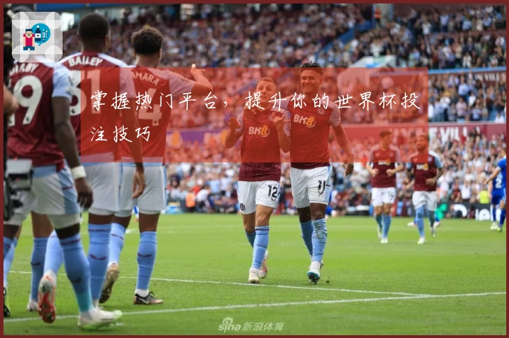 掌握热门平台，提升你的世界杯投注技巧