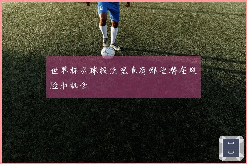 世界杯买球投注究竟有哪些潜在风险和机会