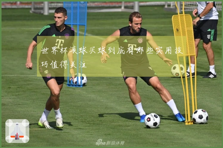 世界杯滚球买球到底有哪些实用技巧值得关注